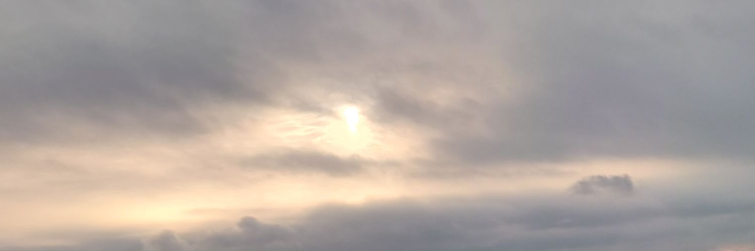 ろーりん。 banner