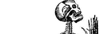 willyike's profile banner image