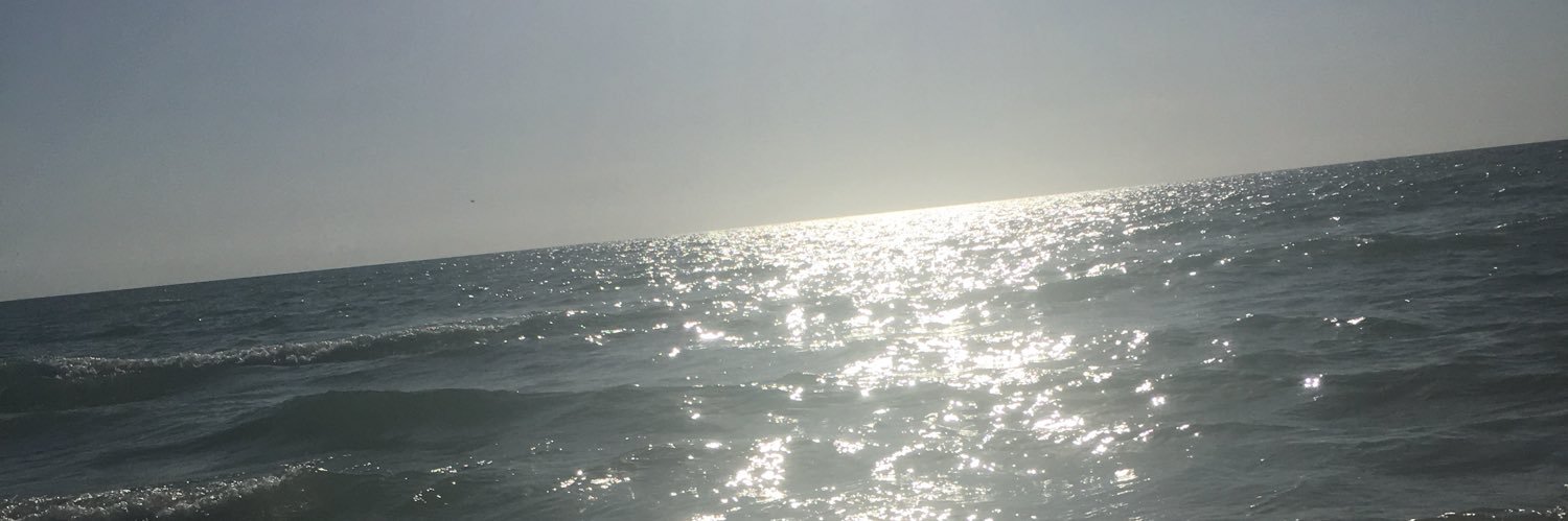 morganwoolf85's profile banner image