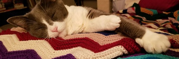 Ida_Eng Profile Banner