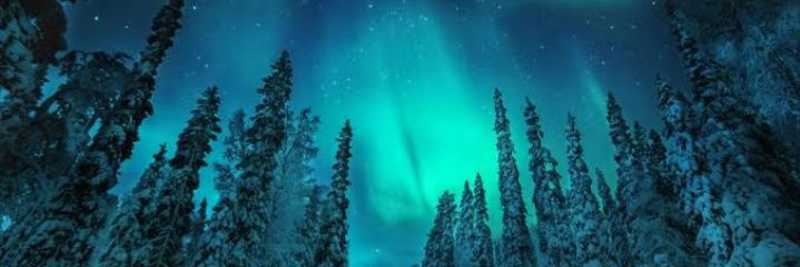 kiriko8929's profile banner image