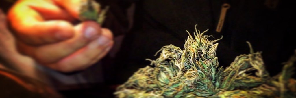erreeseene's profile banner image
