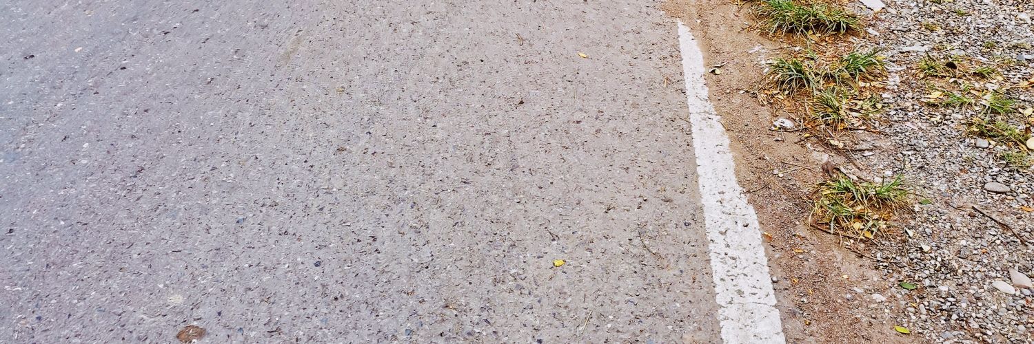 bismif's profile banner image