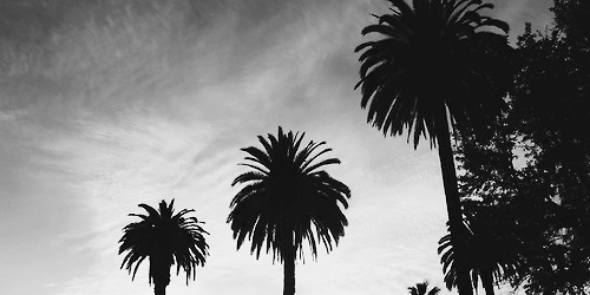 chris. banner