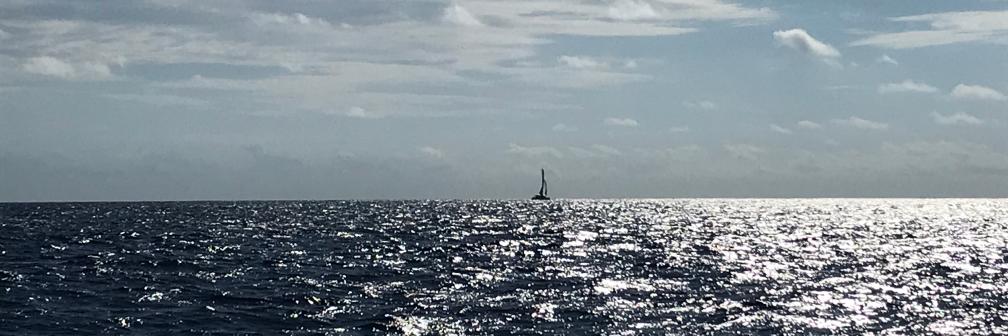 Cécilia VCHT banner