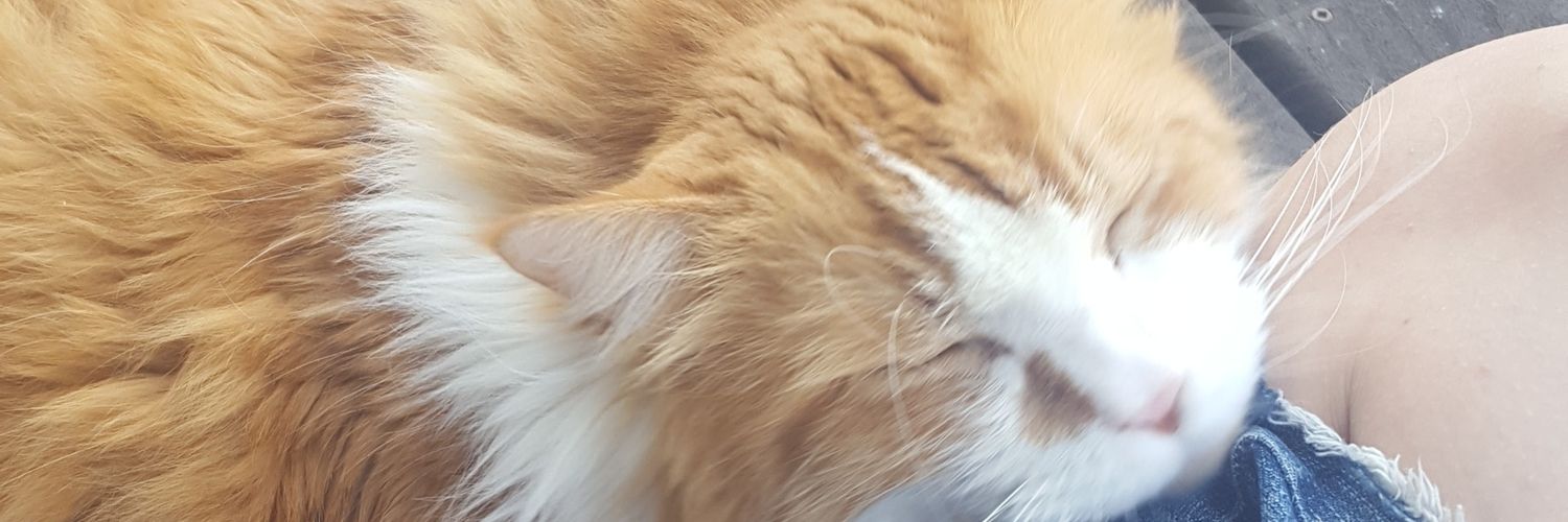 TwoChomz's profile banner image