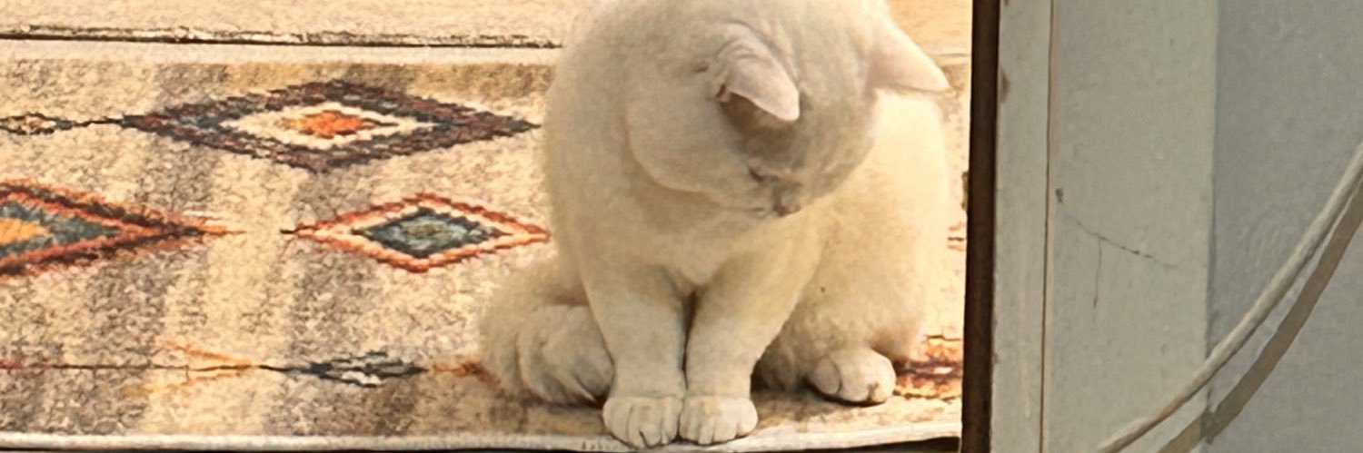 hndeozn's profile banner image