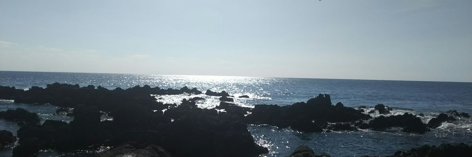 tateishiryo's profile banner image