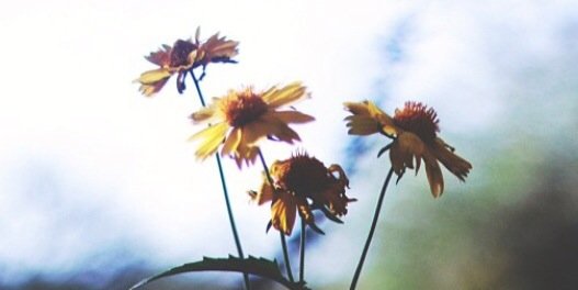 samiito77's profile banner image