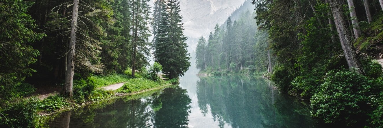 Maxime Thoonsen banner