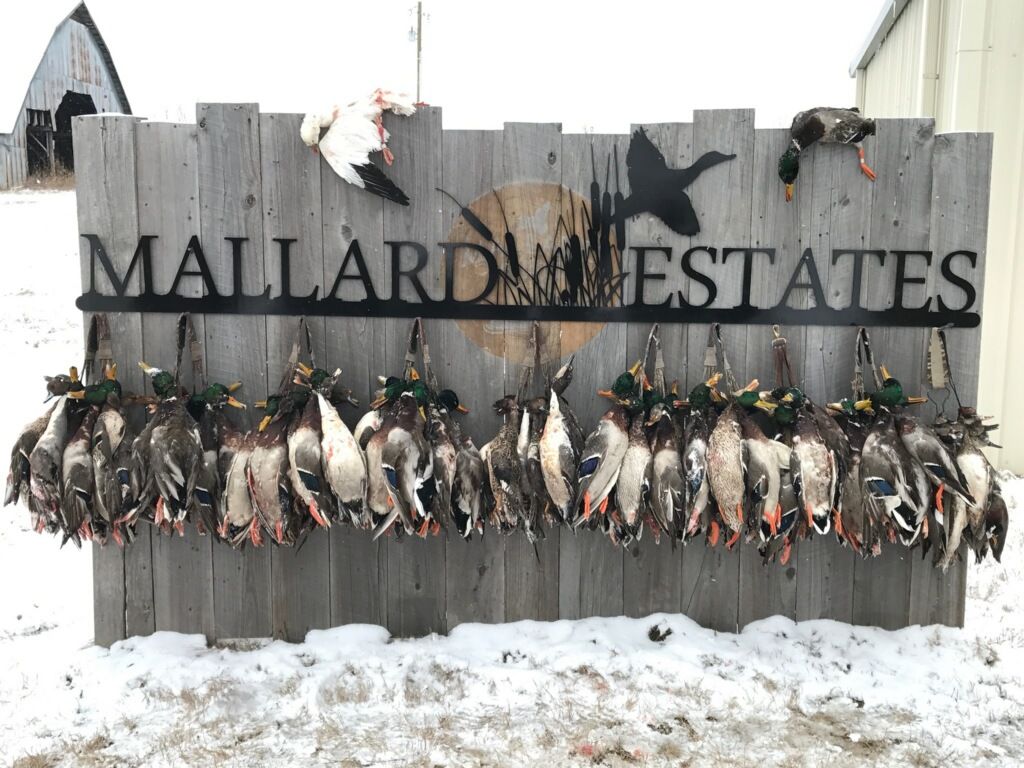 MallardEstates's profile banner image