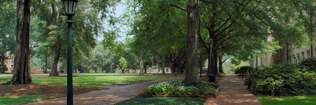 UofSC MGC banner