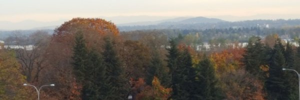 GoblinInAJacket Profile Banner