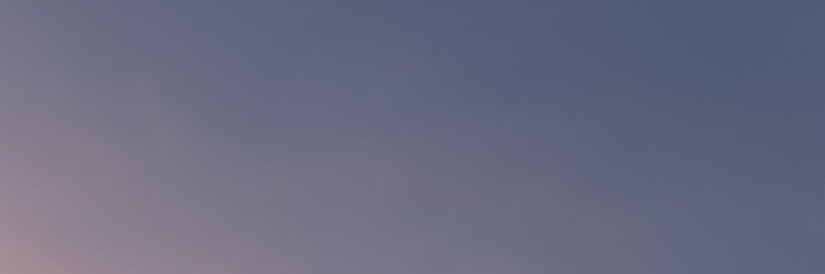 MejdAlmheiri's profile banner image