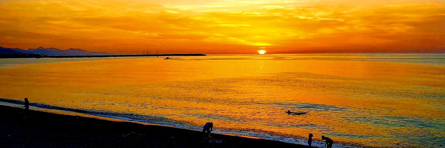 Cesare Treccarichi banner