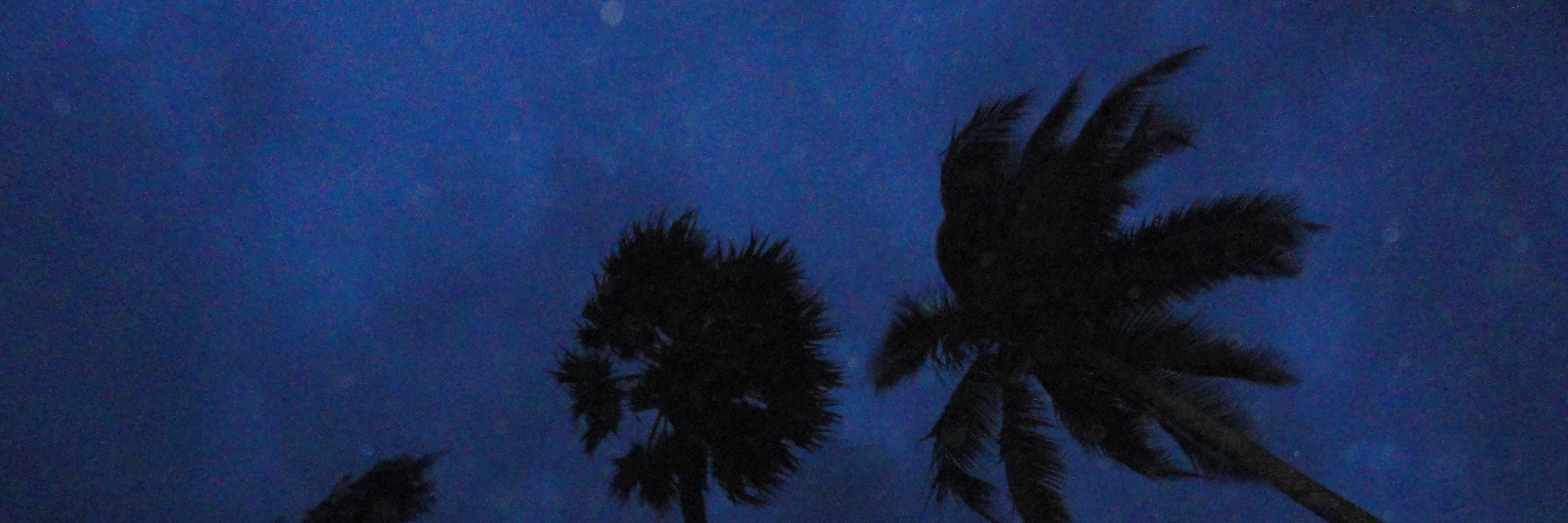 nirmalsbhat's profile banner image