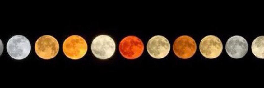 kalena 🌙 banner