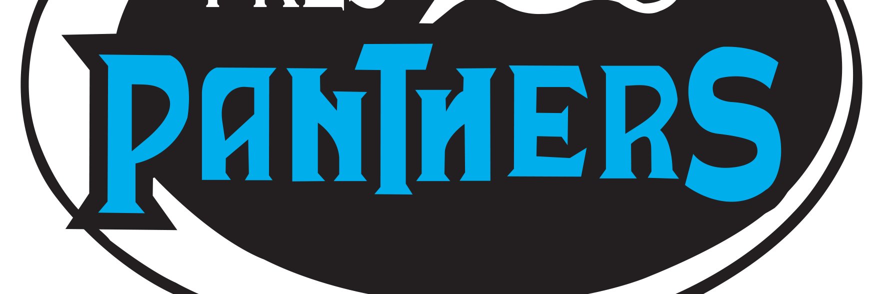 Savannah Steger banner