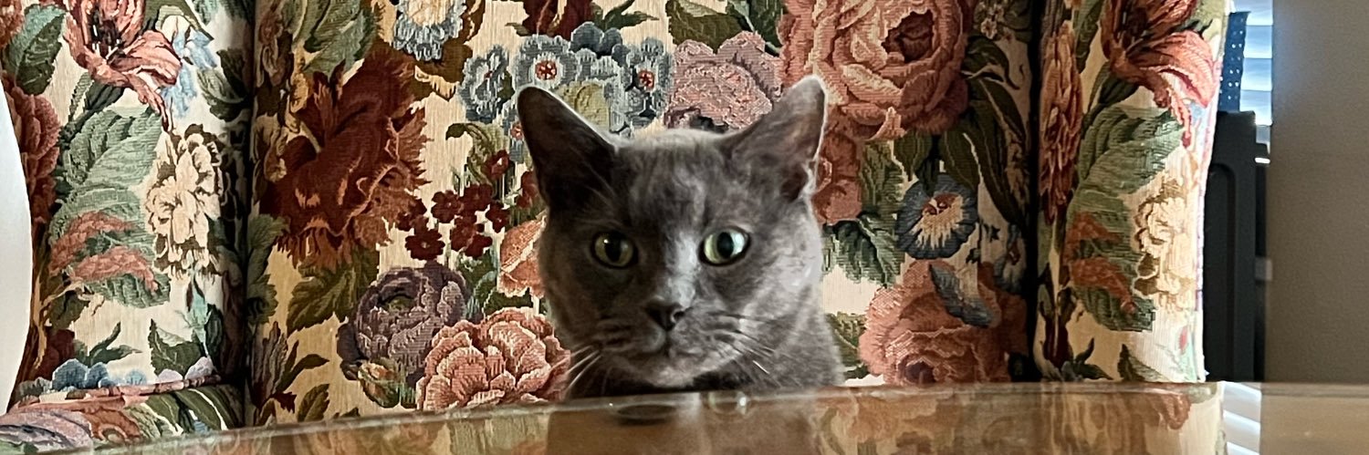 TheHeatherMoos's profile banner image