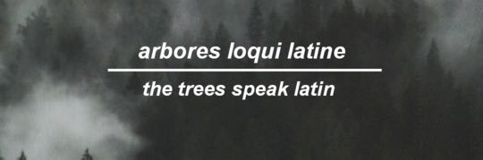 lostlovinglarry's profile banner image