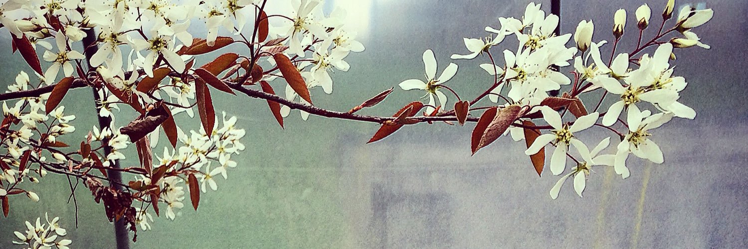 Samantha Yates banner