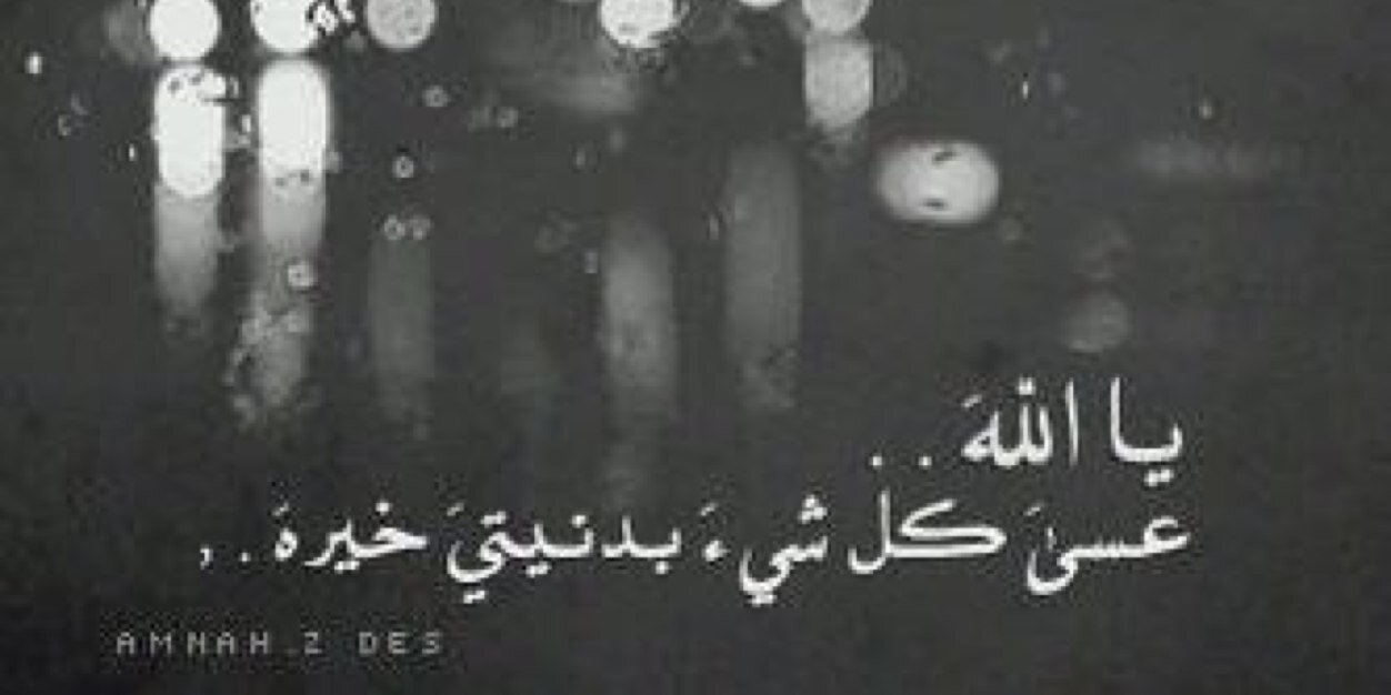 shafia114's profile banner image