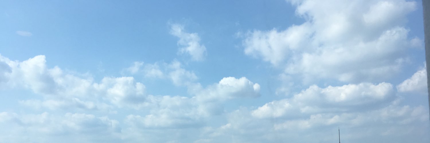 y_ario's profile banner image