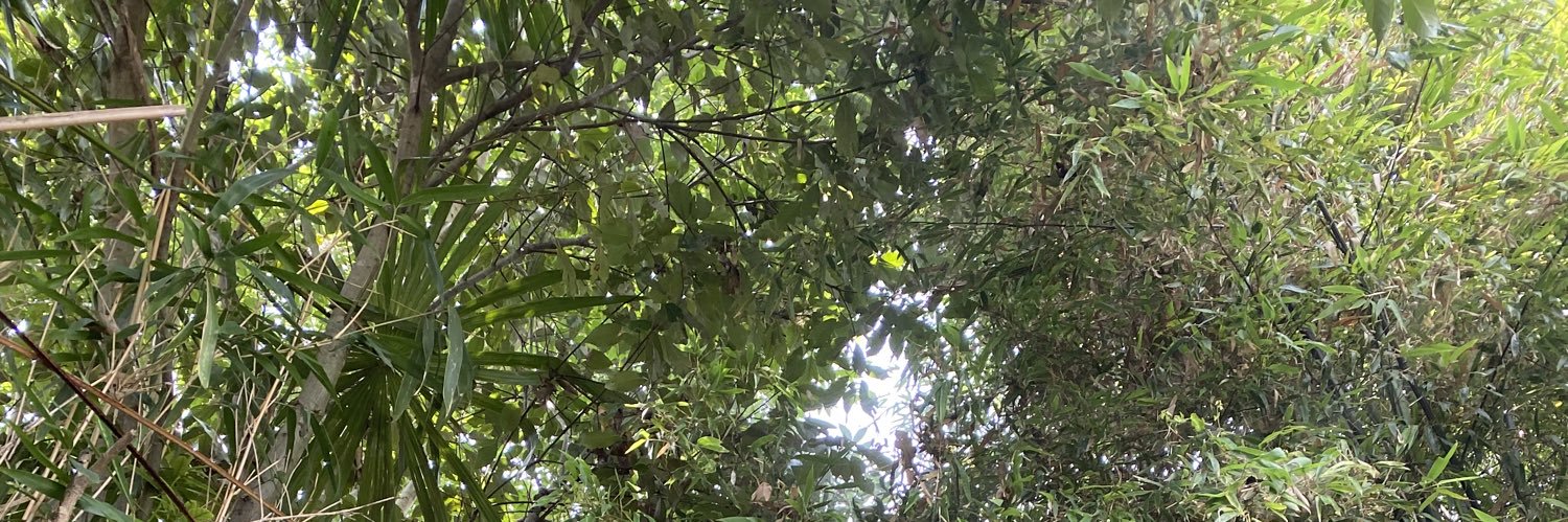 ge_ma_'s profile banner image