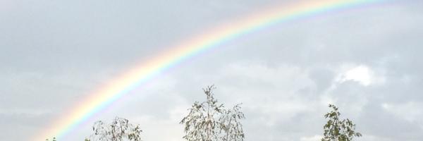 DnnaBalsdn Profile Banner