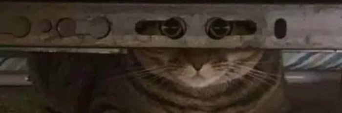 LooquaWinters's profile banner image