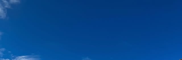 Angela banner