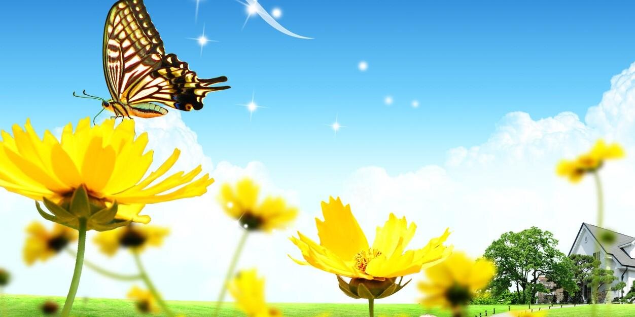 monaneetup's profile banner image