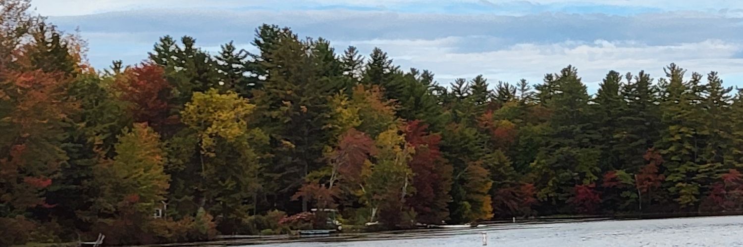 Mandrews41's profile banner image