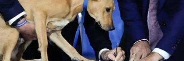 _kemalguven Profile Banner