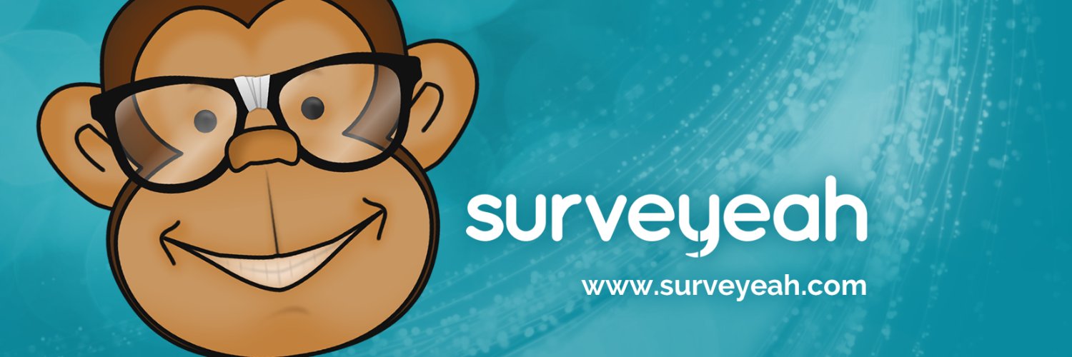 Surveyeah's profile banner image