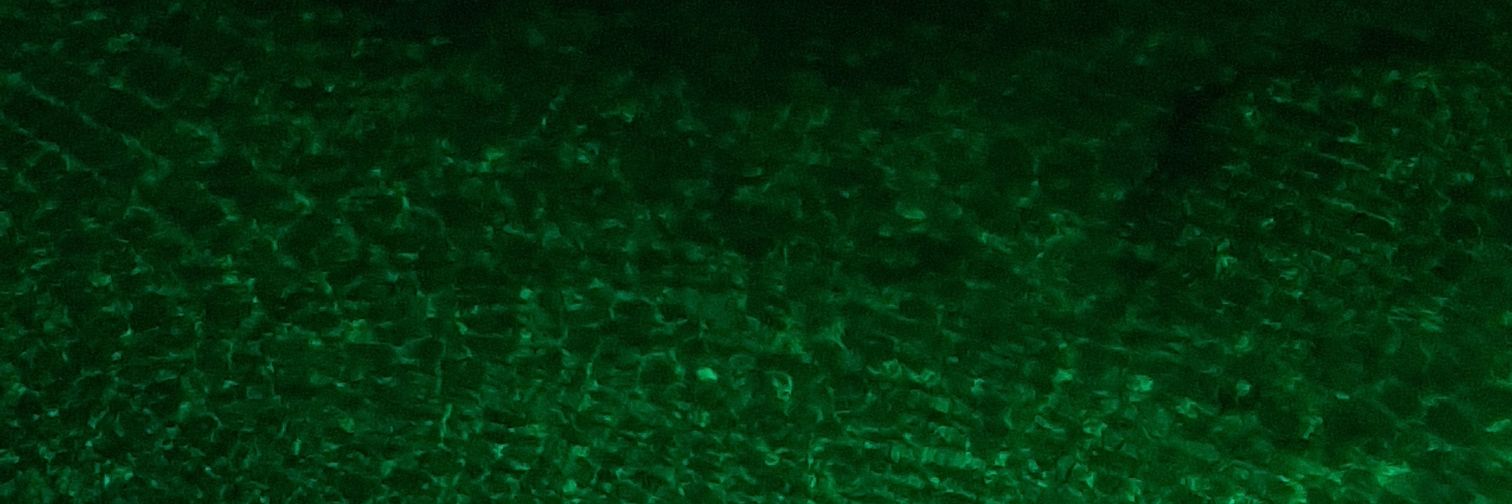 KrstimirPantic's profile banner image