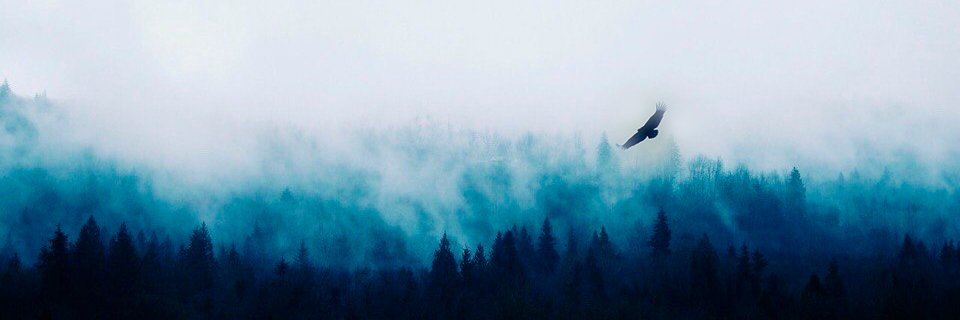 noilence's profile banner image