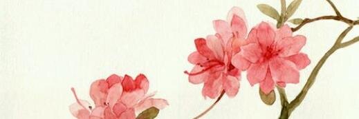 Lin_Mengyu's profile banner image