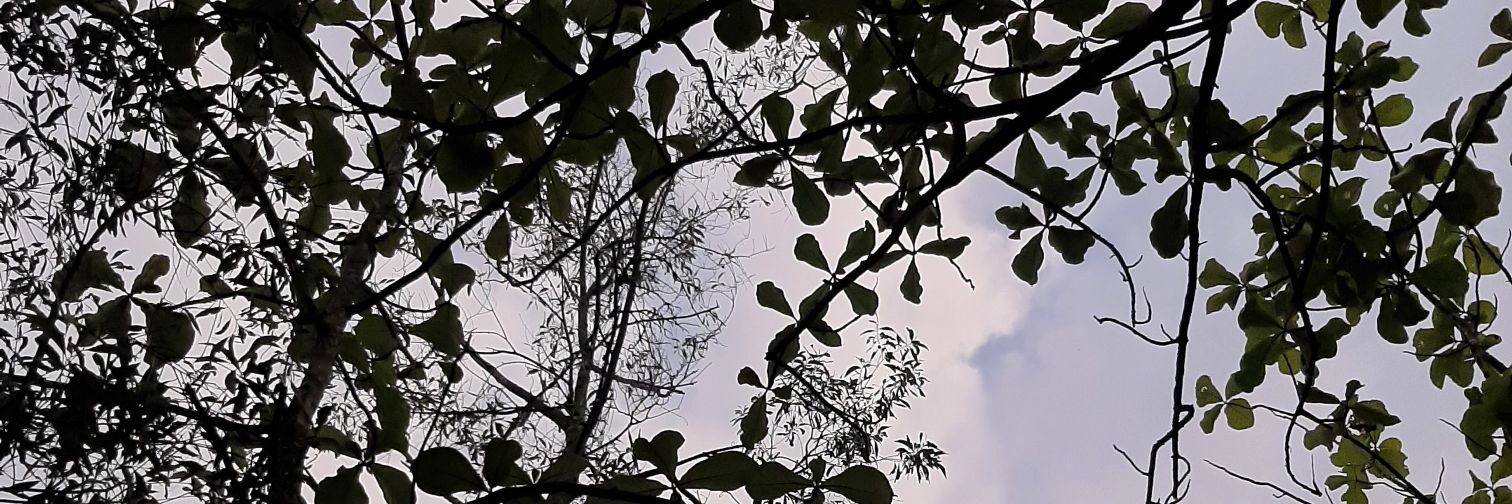 ingtyasrad's profile banner image