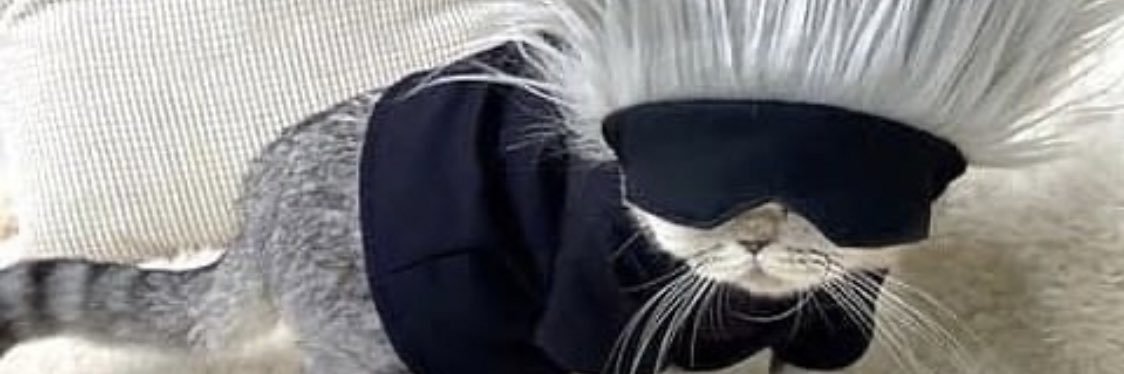 cjtoefur's profile banner image