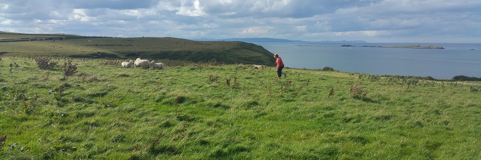 Kelsey Burrows banner
