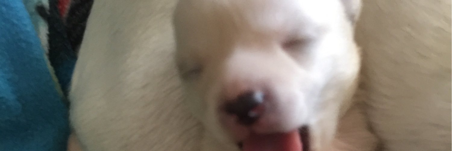 gomezysmith's profile banner image