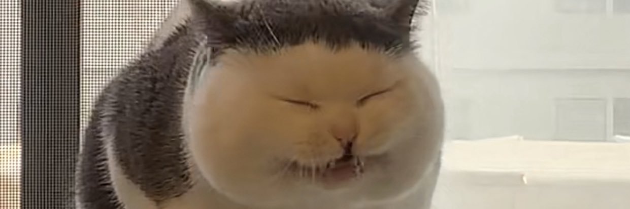 特～特^_^♏️🦂 banner