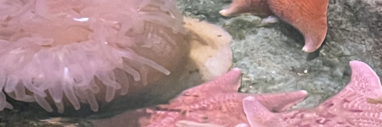Yumi Nu banner