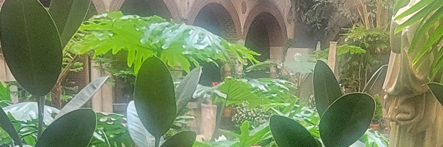 Farah Akbar banner