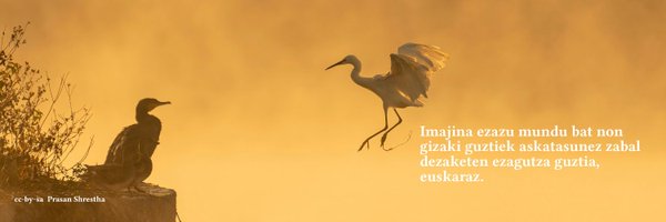 euwikipedia Profile Banner