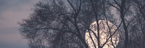 hoffyeter's profile banner image