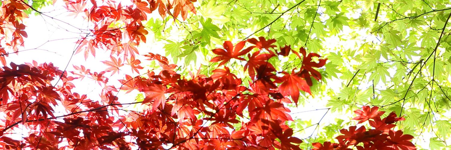FujiRyoei's profile banner image