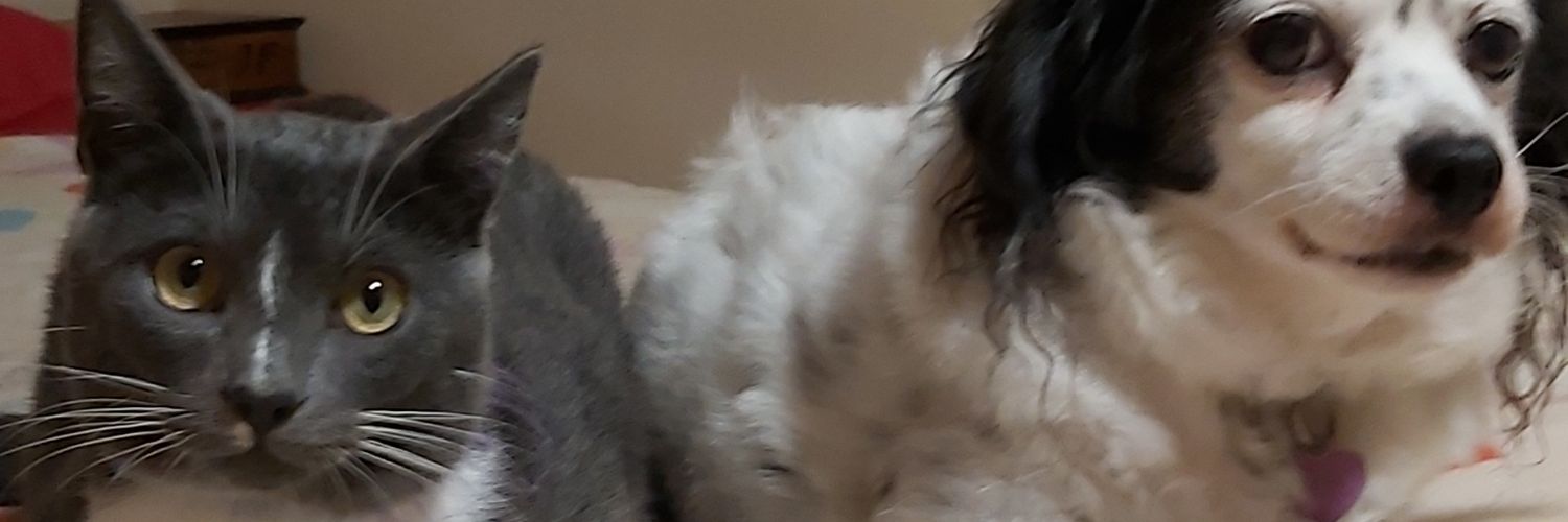 MartaLouzao's profile banner image
