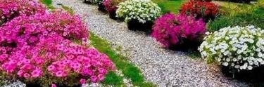mahnaz289's profile banner image